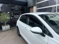 Volkswagen Golf 1.5 TSI ACC/VIRTUEEL *ALL-IN PRIJS* Wit - thumbnail 5