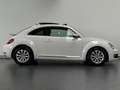 Volkswagen Beetle 1.2 TSI Design BlueMotion | Schuifdak | Nieuwe ket Blanco - thumbnail 14