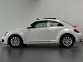 Volkswagen Beetle 1.2 TSI Design BlueMotion | Schuifdak | Nieuwe ket Blanco - thumbnail 3