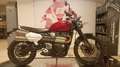 Triumph Scrambler 1200 X -Kundenvorteil von 1.000€ Rouge - thumbnail 6