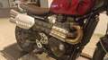 Triumph Scrambler 1200 X -Kundenvorteil von 1.000€ Rouge - thumbnail 9