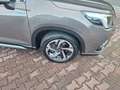 Subaru Forester 2.0ie Platinum Lineartronic, MWSt Beige - thumbnail 9