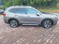 Subaru Forester 2.0ie Platinum Lineartronic, MWSt Beige - thumbnail 17
