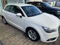 Audi A1 ambition  Standheizung Weiß - thumbnail 4