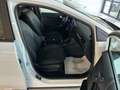 Ford Puma 1.0 ecoboost HYBRID TITANIUM CV125 KM 35000 FULL Bianco - thumbnail 9