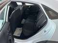 Ford Puma 1.0 ecoboost HYBRID TITANIUM CV125 KM 35000 FULL Bianco - thumbnail 8