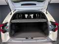 Dacia Duster Tce 130 CV MHEV Journey Beige - thumbnail 12