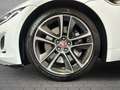 Jaguar F-Type Cabriolet P300 R-Dynamic Sportpaket Navi Soundsyst Beyaz - thumbnail 9