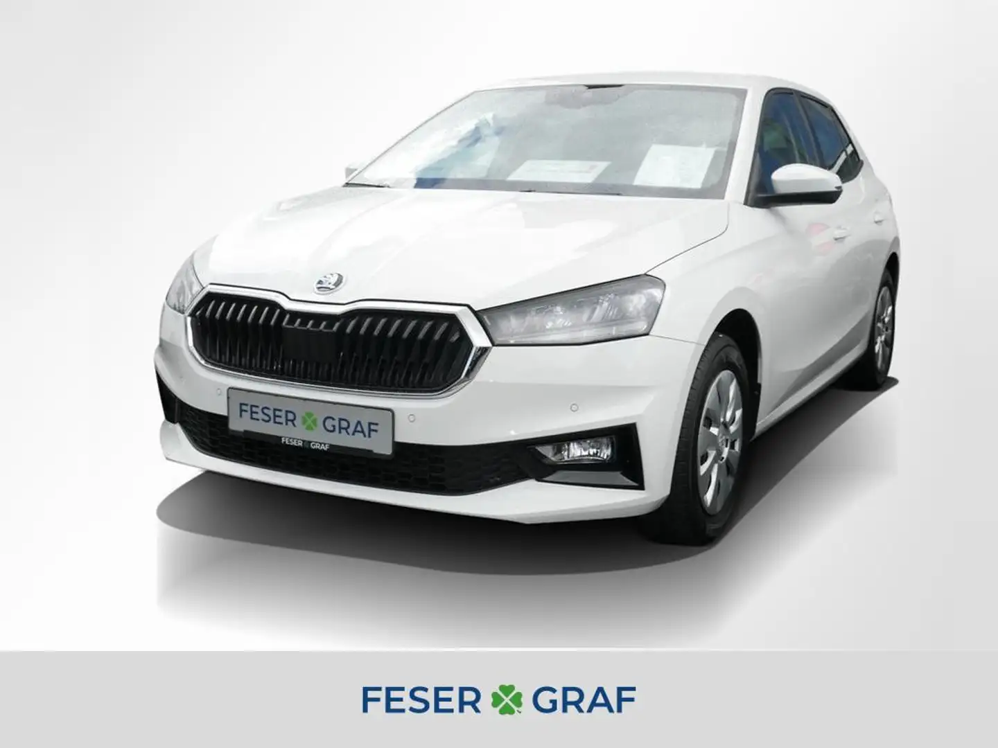 Skoda Fabia 1.0 TSI Selection LED PDC Sitzh. Weiß - 1