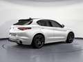 Alfa Romeo Stelvio 2.2 Turbodiesel 210 CV AT8 Q4 Tributo Italiano Blanco - thumbnail 21