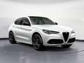 Alfa Romeo Stelvio 2.2 Turbodiesel 210 CV AT8 Q4 Tributo Italiano Blanco - thumbnail 20