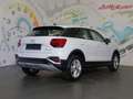 Audi Q2 35 TFSI admired S-tronic *ACC, LED, SCHIEBEDACH* Weiß - thumbnail 4