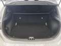Kia Ceed / cee'd 1.0T DCT NIGHTLINE EDITION Grau - thumbnail 12