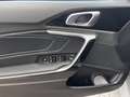 Kia Ceed / cee'd 1.0T DCT NIGHTLINE EDITION Grau - thumbnail 15