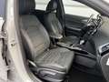 Kia Ceed / cee'd 1.0T DCT NIGHTLINE EDITION Grau - thumbnail 14