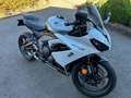 Triumph Daytona 650 660 Blanc - thumbnail 2