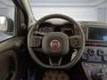 Fiat Panda Cross 1.0 FireFly S&S Hybrid Blu/Azzurro - thumbnail 11