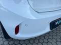 Opel Corsa Corsa-e 5 porte Elegance Wit - thumbnail 24