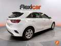 Kia 1.6 MHEV iMT 100kW (136CV) Drive Blanco - thumbnail 8
