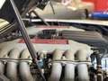 Ferrari Testarossa MONODADO Bianco 100 / Blu medio Blanco - thumbnail 15
