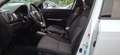 Suzuki Vitara Vitara 1.4 Hybrid - B/GPL 4WD AllGrip Cool Blanc - thumbnail 10
