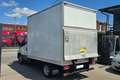 Iveco DAILY  35C15 BOX + SPONDA Wit - thumbnail 4