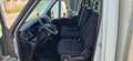 Iveco DAILY  35C15 BOX + SPONDA Wit - thumbnail 9