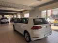 Volkswagen Golf 5p 1.6 tdi Highline 115cv Blanc - thumbnail 6