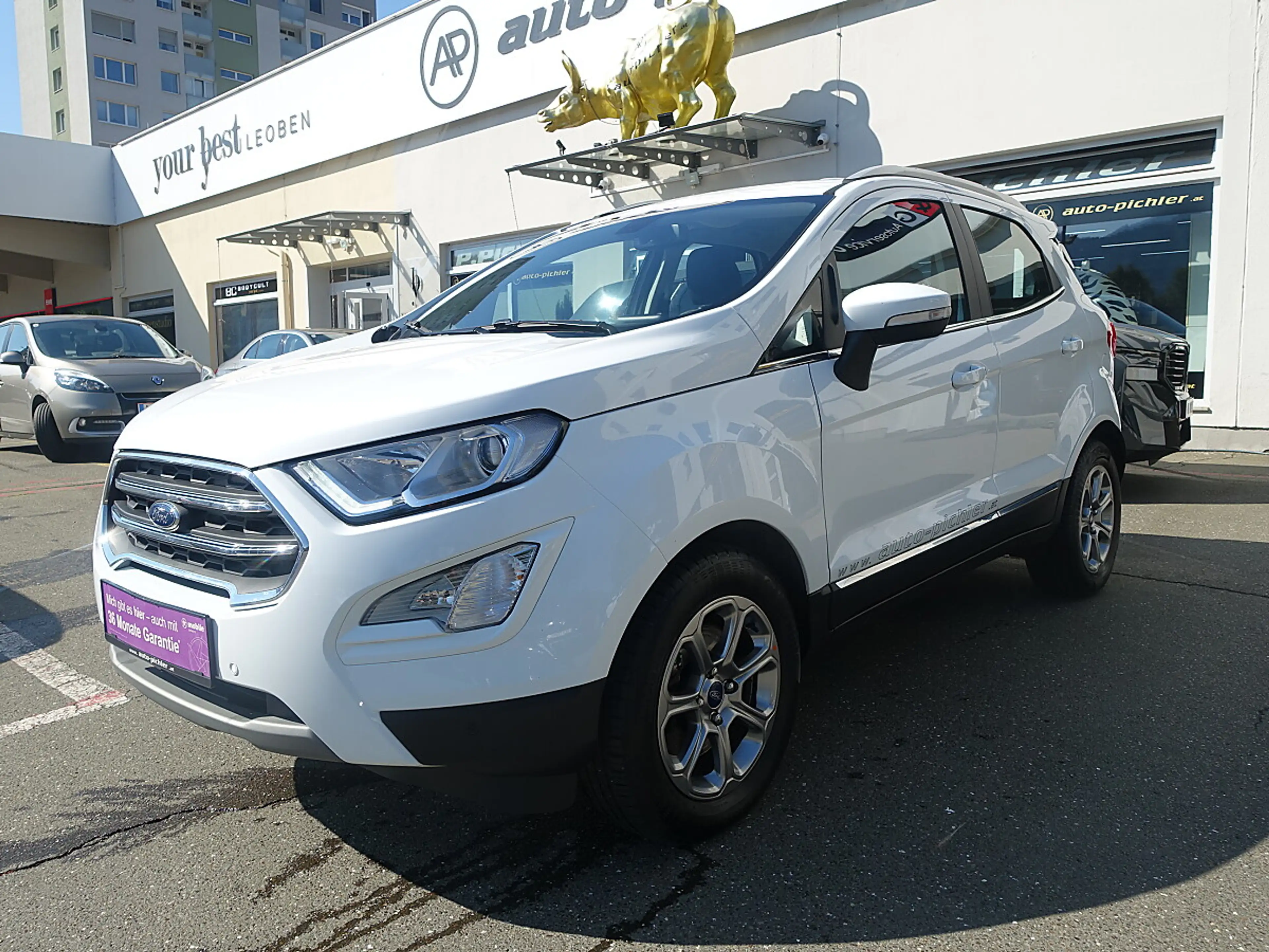 Ford EcoSport 1,0 EcoBoost Titanium — photo 3