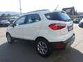 Ford EcoSport 1,0 EcoBoost Titanium Weiß - thumbnail 5
