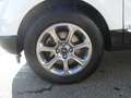 Ford EcoSport 1,0 EcoBoost Titanium Weiß - thumbnail 12