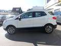Ford EcoSport 1,0 EcoBoost Titanium Weiß - thumbnail 4