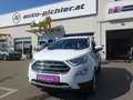Ford EcoSport 1,0 EcoBoost Titanium Weiß - thumbnail 1
