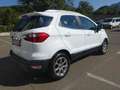Ford EcoSport 1,0 EcoBoost Titanium Weiß - thumbnail 7