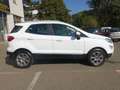 Ford EcoSport 1,0 EcoBoost Titanium Weiß - thumbnail 8