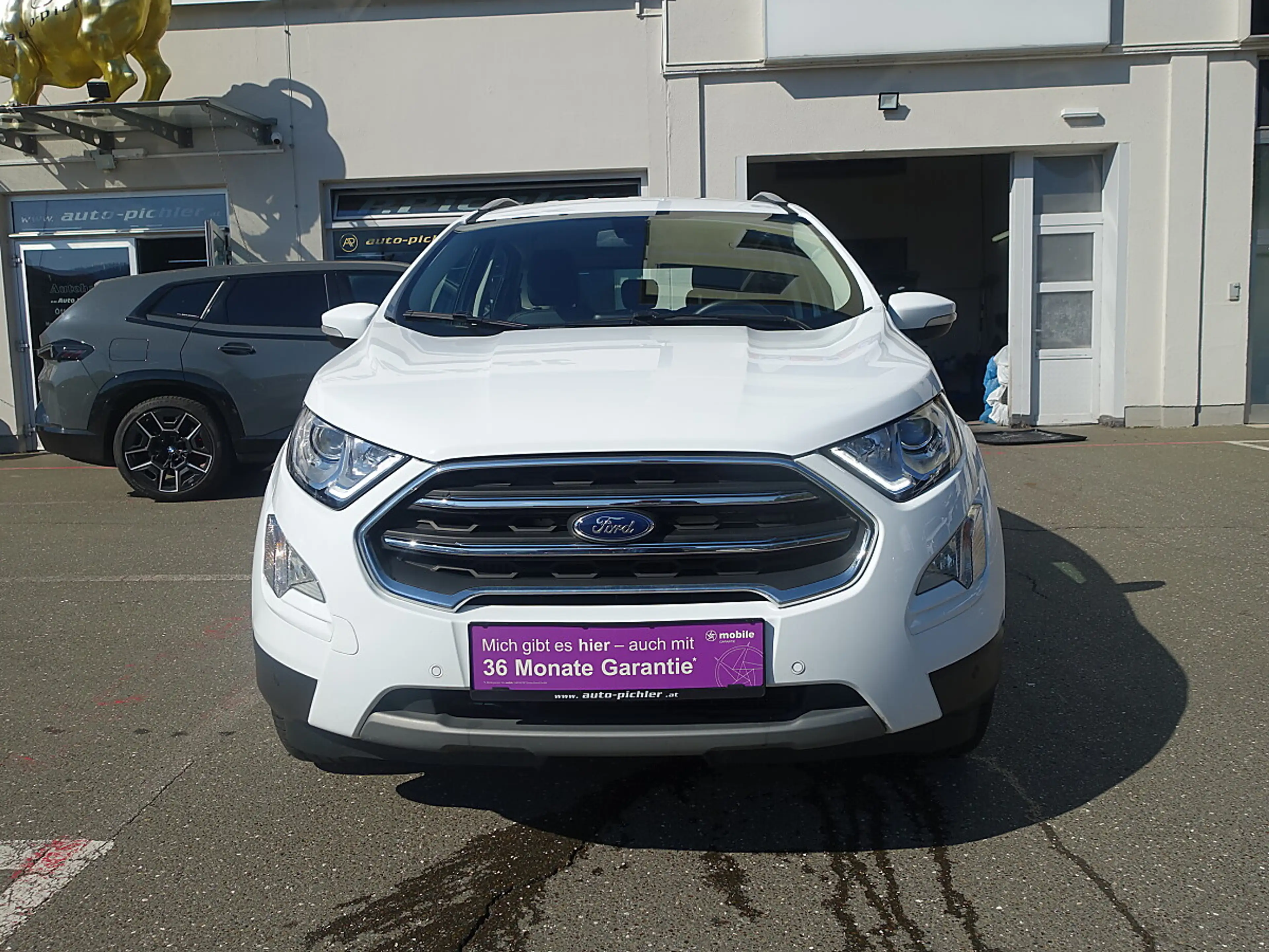 Ford EcoSport 1,0 EcoBoost Titanium — photo 2