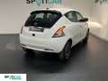 Lancia Ypsilon 1.0 FireFly 5 porte S&S Hybrid Platino - Km0 Weiß - thumbnail 6