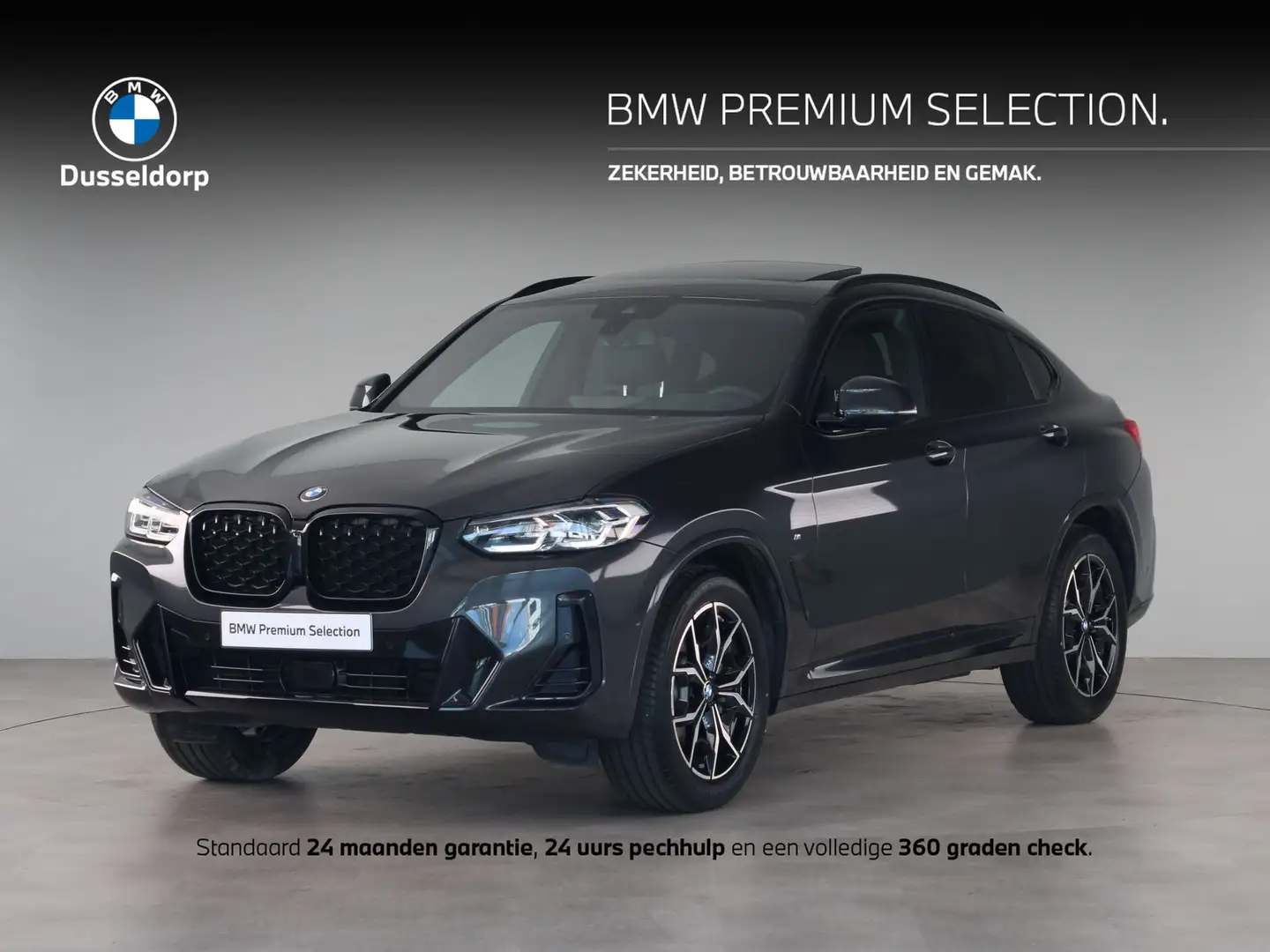 BMW X4 xDrive30i Gris - 1
