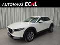 Mazda CX-30 G140 6AT 2,5L 4Zyl. EXCLUSIVE Weiß - thumbnail 1