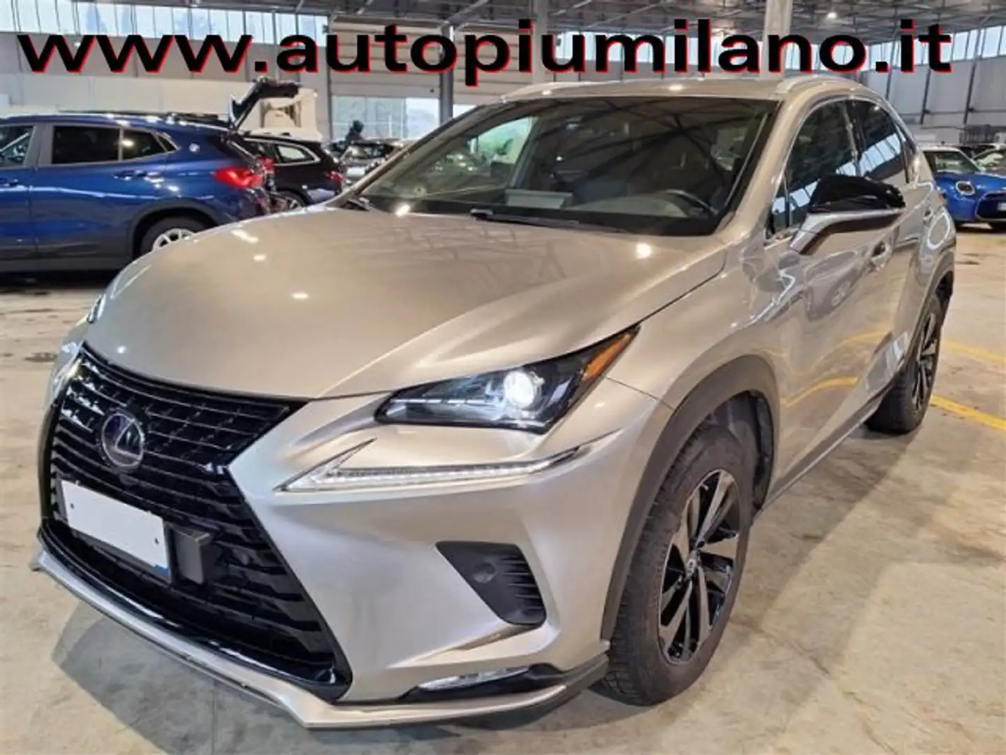Lexus NX 300 NX 300h 2.5 Premium 4wd cvt Gris - 1