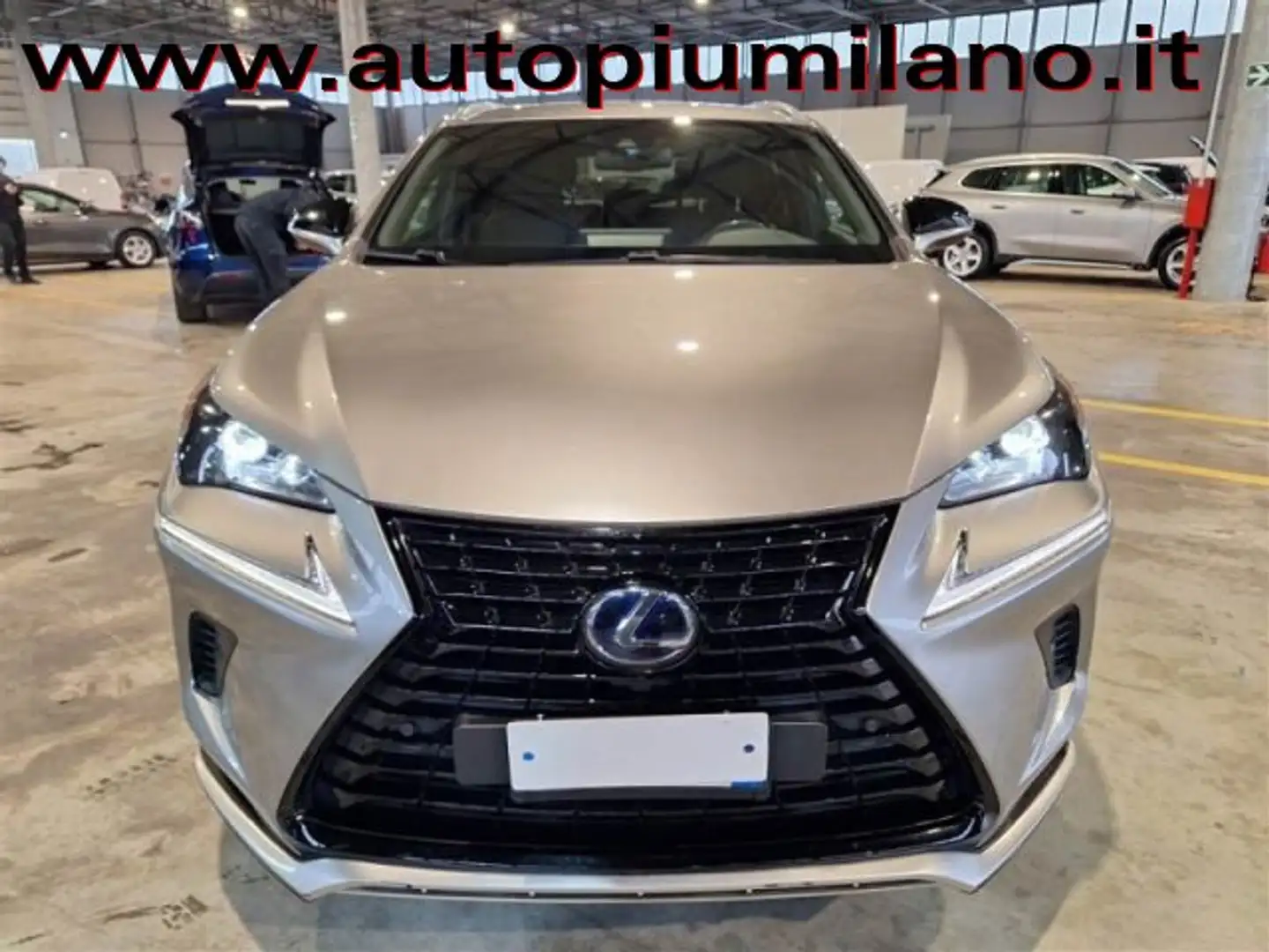 Lexus NX 300 NX 300h 2.5 Premium 4wd cvt Gris - 2