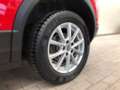 Volkswagen T-Roc T-Roc 1,0 TSI Design Rot - thumbnail 3