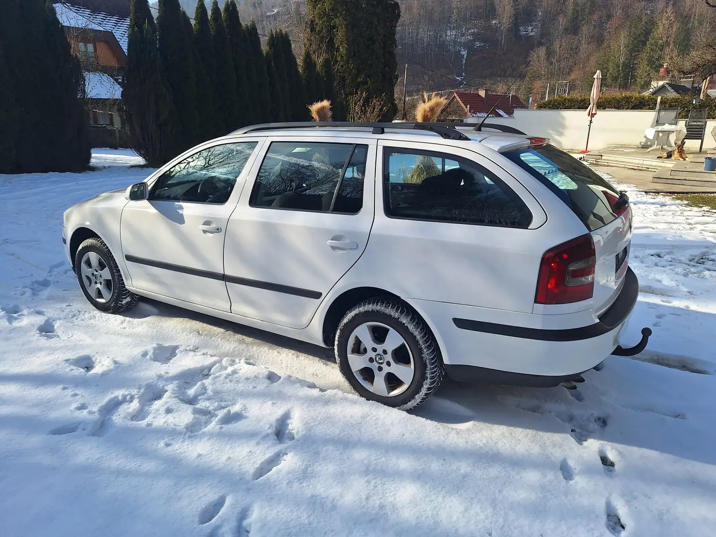 Skoda Octavia Octavia Combi Pacco 1,9 TDI PD DPF 4x4 Pacco Weiß - 1