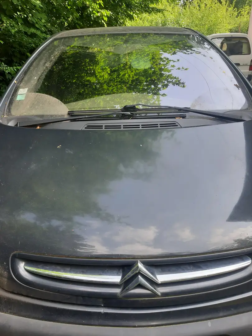 Citroen Xsara Picasso Mauve - 2