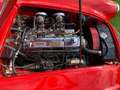 Austin-Healey 3000 MK 2A BJ7 2+2  - full resto - History - Mint Rood - thumbnail 17