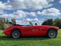 Austin-Healey 3000 MK 2A BJ7 2+2  - full resto - History - Mint Czerwony - thumbnail 5