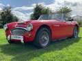 Austin-Healey 3000 MK 2A BJ7 2+2  - full resto - History - Mint Rouge - thumbnail 1