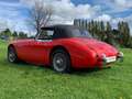 Austin-Healey 3000 MK 2A BJ7 2+2  - full resto - History - Mint Rouge - thumbnail 11