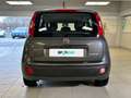 Fiat Panda 1.0 FireFly 70cv S&S Hybrid Grigio - thumbnail 4