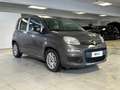 Fiat Panda 1.0 FireFly 70cv S&S Hybrid Grigio - thumbnail 5